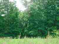 Leicester, Vermont Land for Sale